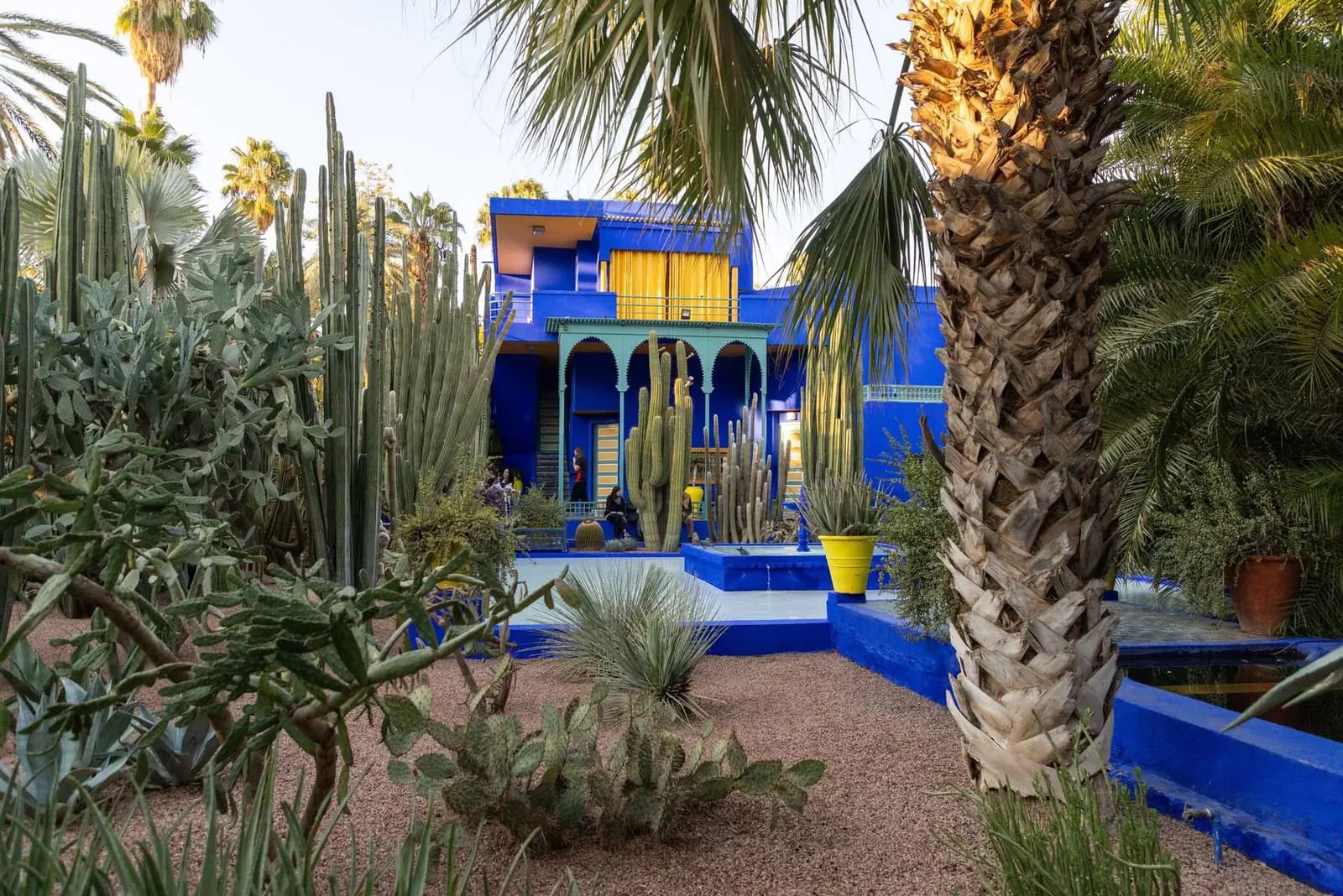 Het felblauwe paviljoen en de cactussen van de Jardin Majorelle in Marrakech
