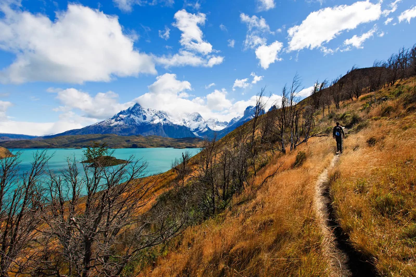Wandelaar op een pad langs een gletsjermeer in Patagonië